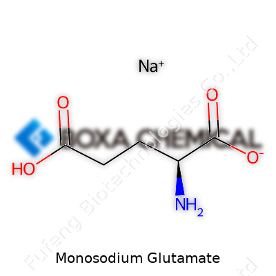Monosodium Glutamate