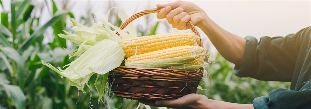 Fufeng Biotechnologies Co.,Ltd