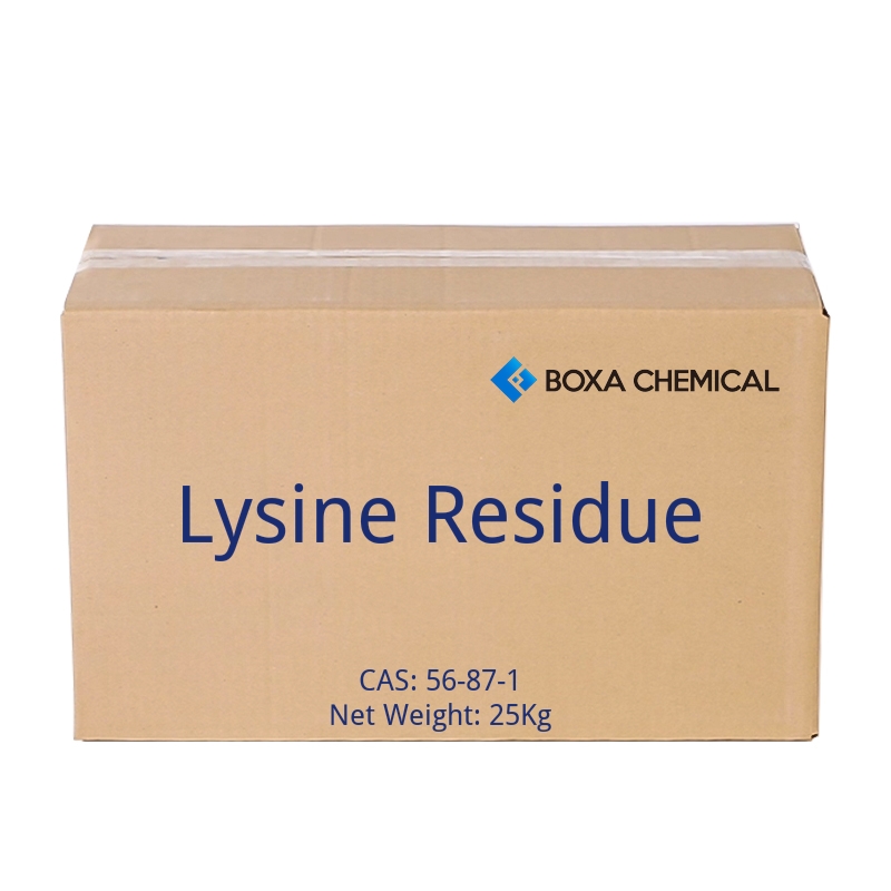 Lysine Residue